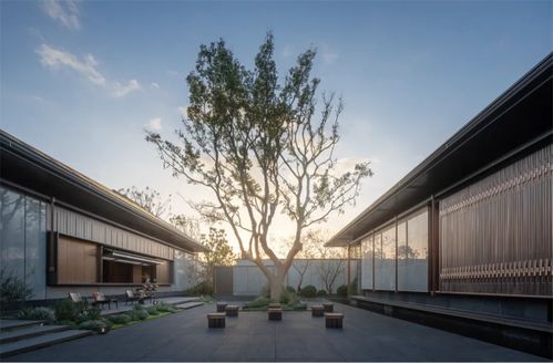 創新式傳承 建發房產新品 詩意東方 正式發布