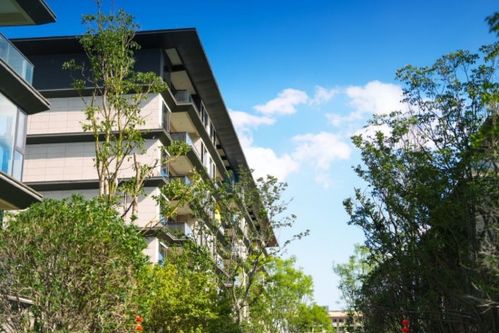 寶能滇池九璽 山海相逢,如約而至以匠心品質兌現向往的生活